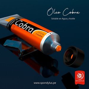 Royal Talens Cobra Oleo