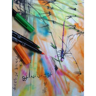 SUMI - E  50 x 65cm.