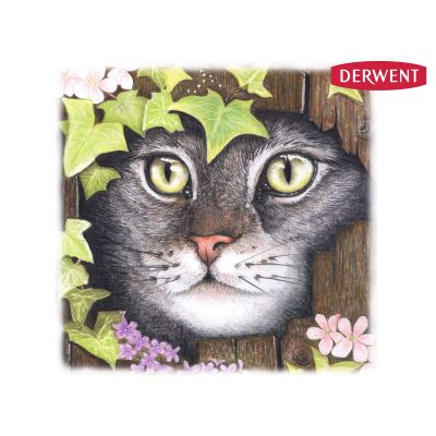 Derwent Coloursoft
