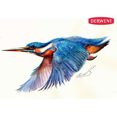 Derwent Inktense x12