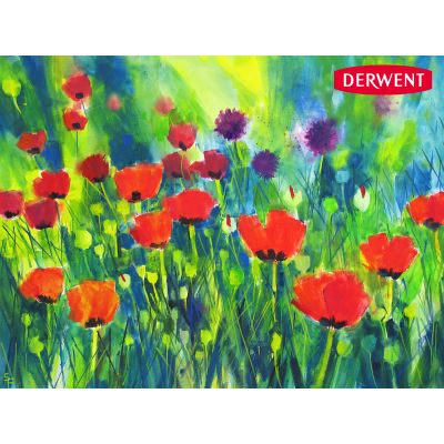 Barras Derwent Inktense x24