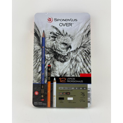 OVER LAPIZ X12 CAJA Metal