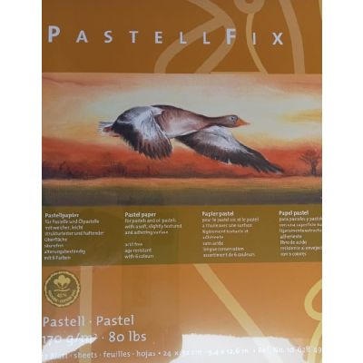 Block PastellFix A3 170Gr 12 hojas con 6 colores