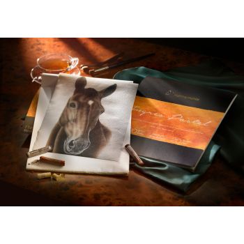 The Collection - Ingres Pastel Block