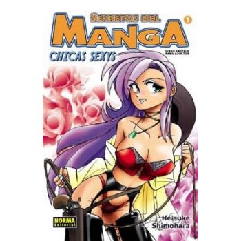 Secretos Del Manga Nº1