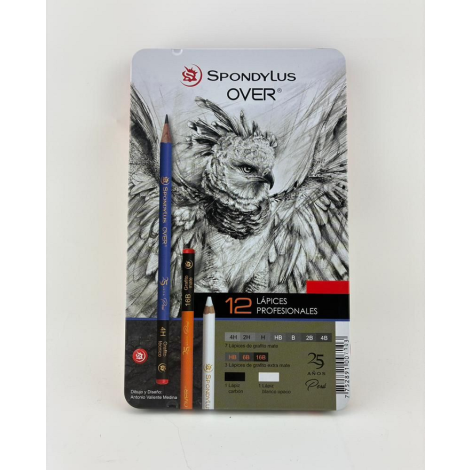 OVER LAPIZ X12 CAJA Metal