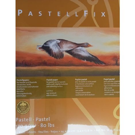 Block PastellFix A4 170Gr 12 hojas con 6 colores