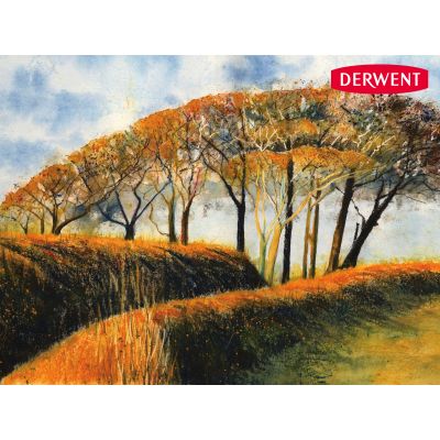 Barras Derwent Inktense x12